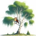 Всероссийская викторина «Осмысленное чтение» от stdlife.ru